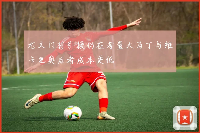 尤文门将引援仍在考量大马丁与维卡里奥后者成本更低